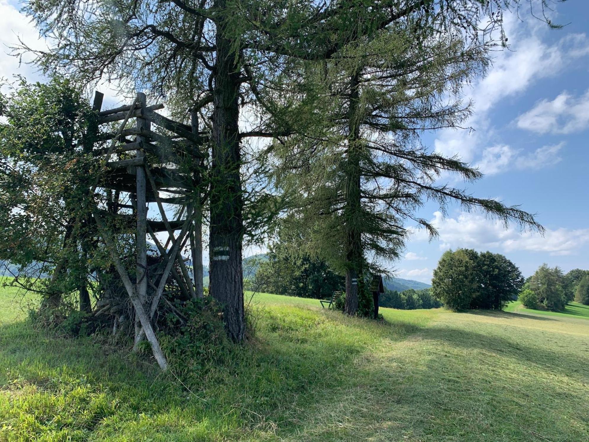 Landgasthof Zur Linde Laaben Exteriér fotografie