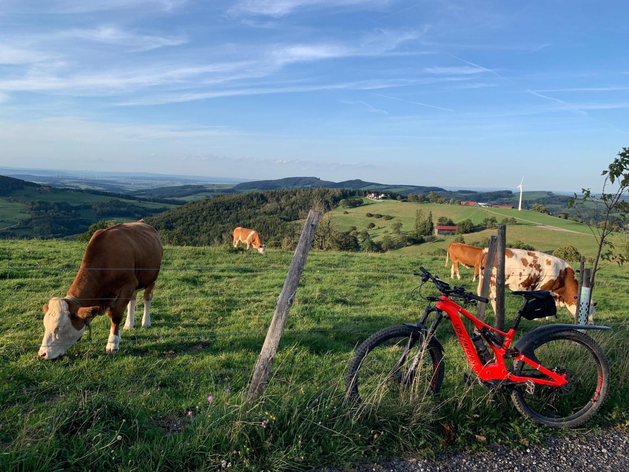 Landgasthof Zur Linde Laaben Exteriér fotografie